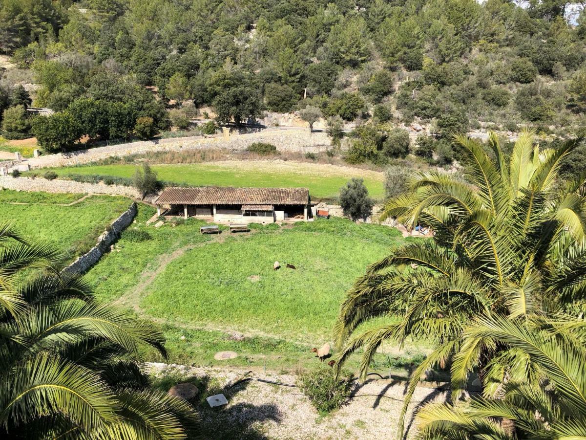 Finca Can Sec Bauernhof