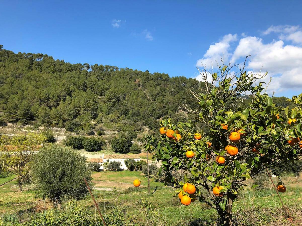 Finca Can Sec * Alaró