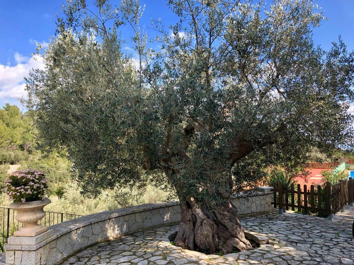 Finca Can Sec Bauernhof