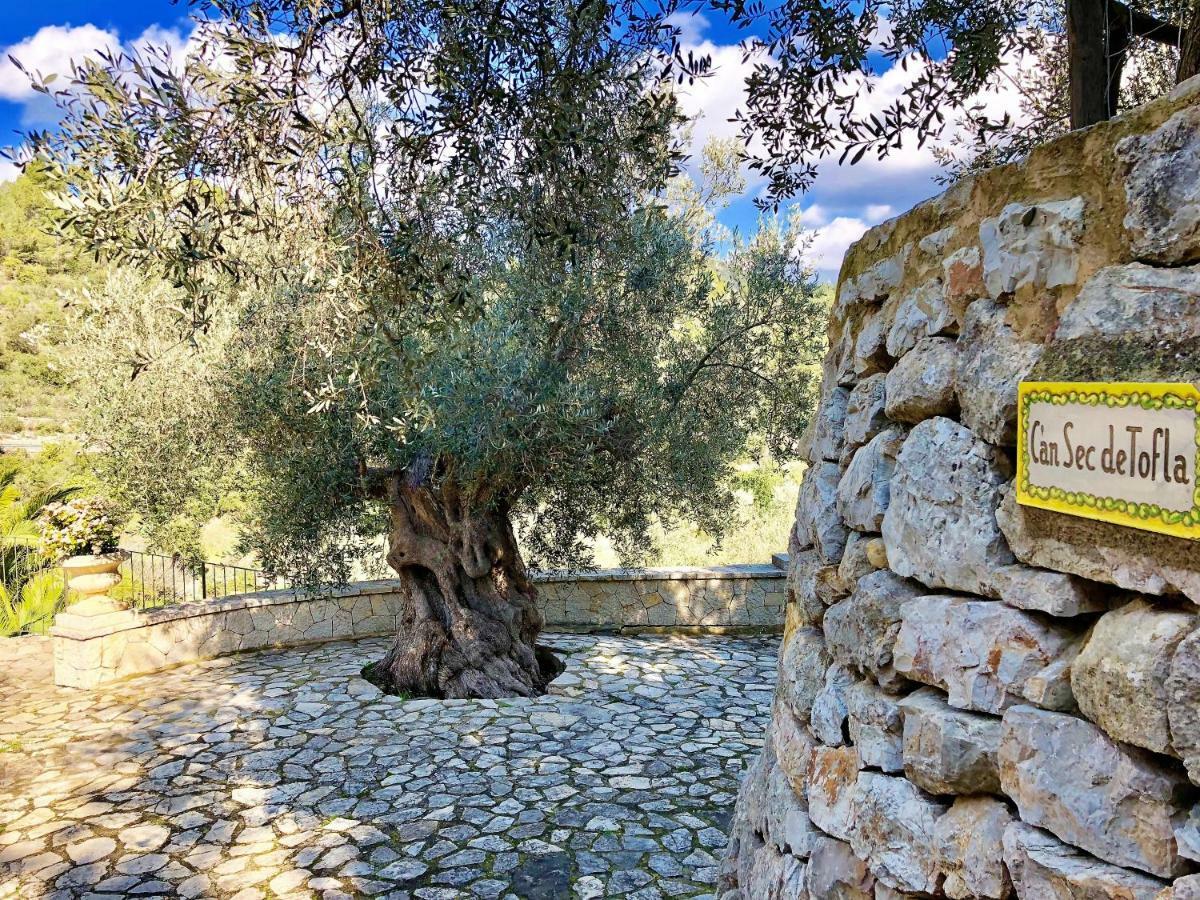 Finca Can Sec Alaró