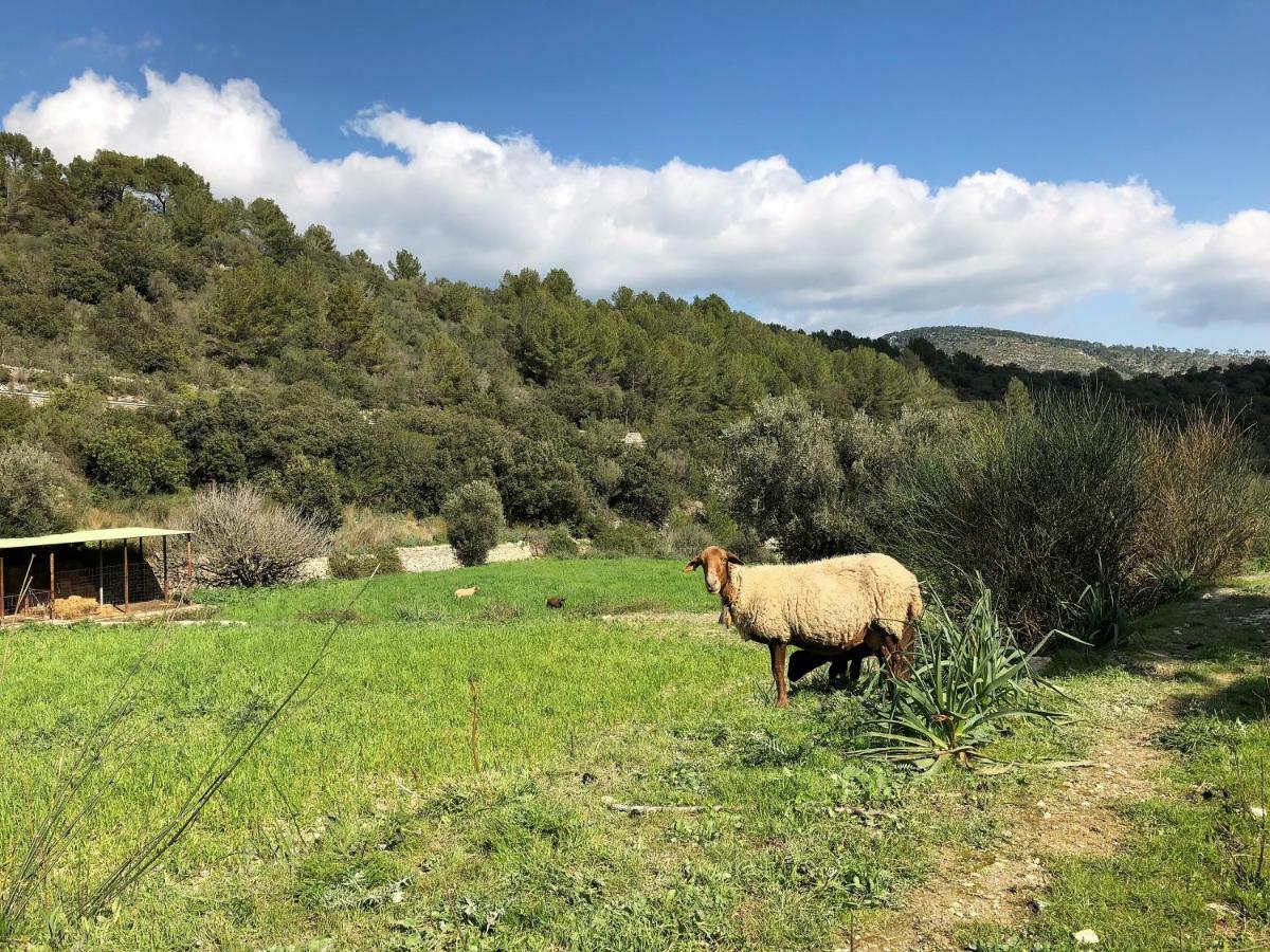 Finca Can Sec